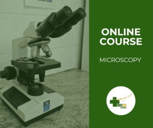 Microscopy