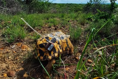 260409241_5163877246960125_4077982020152458031_n