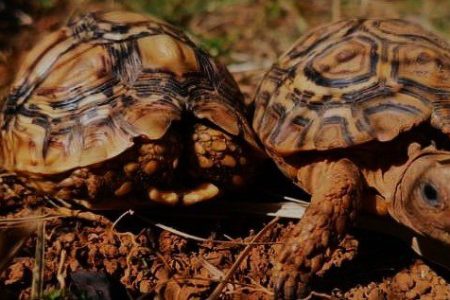 FB_IMG_1622831404028